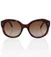 Celine Tortoiseshell Round Sunglasses In Dark Havana / Brown
