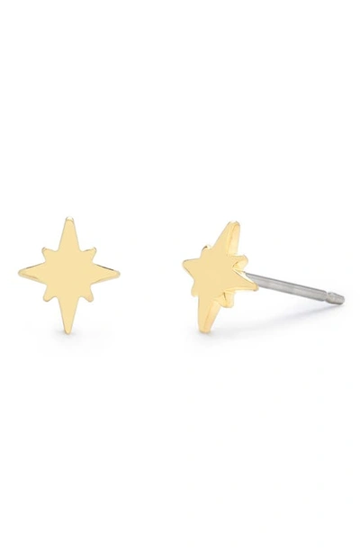 Brook & York Alice 14k Gold Plated Stud Earrings