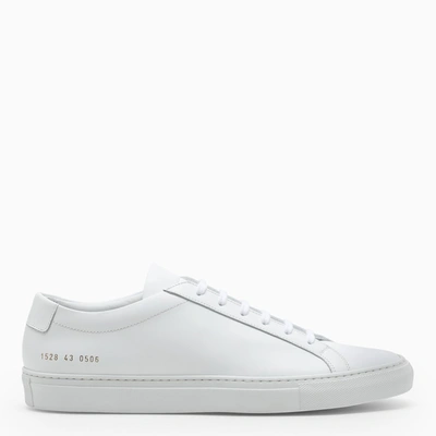 Common Projects White Achilles Trainers