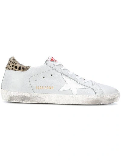 Golden Goose Leather Sneakers With Calf Hair