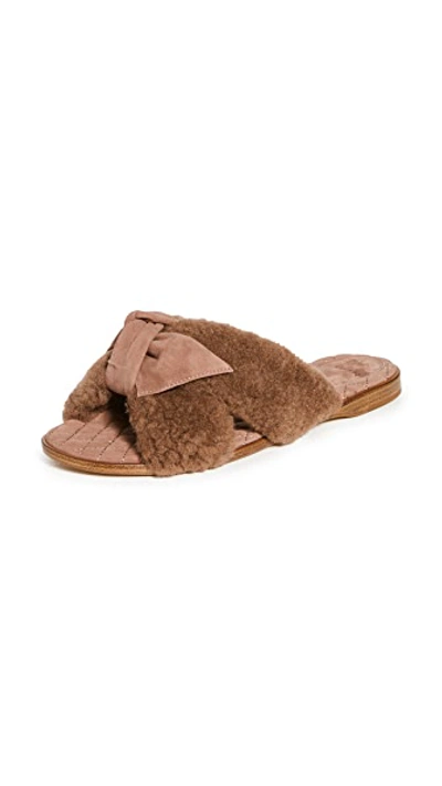 Alexandre Birman Maxi Clarita Bow-embellished Suede-trimmed Shearling Slides In Brown