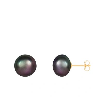 Splendid Pearls 14k Yellow Gold 10-11mm Pearl Earrings In Black