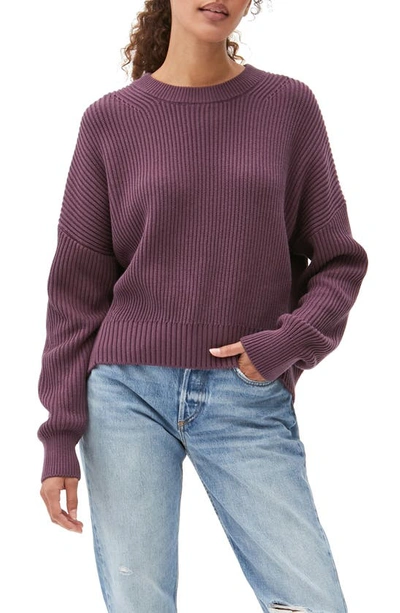 Michael Stars Richie Boxy Cotton Crewneck Sweater In Purple