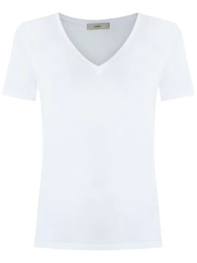 Egrey V Neck T-shirt In White