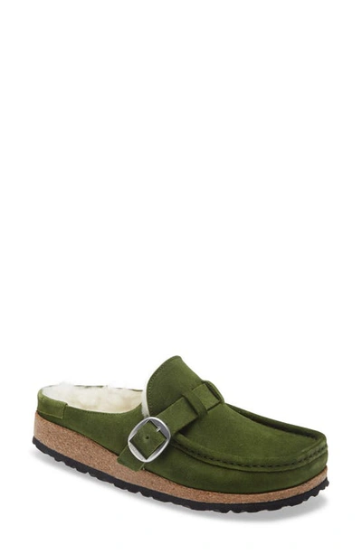 Birkenstock Buckley Genuine Shearling Mule In Mountain View/ Natural