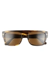 Tom Ford Dunning-02 55mm Rectangular Sunglasses In Shiny Brown Multi