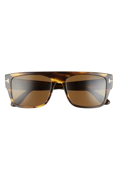 Tom Ford Dunning-02 55mm Rectangular Sunglasses In Shiny Brown Multi