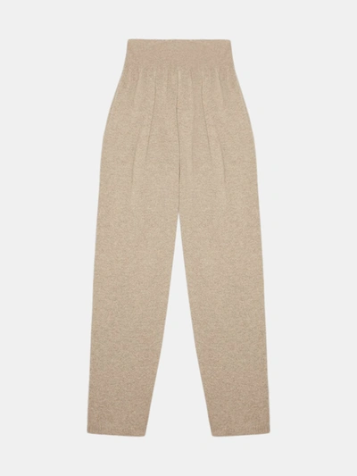 Active Cashmere Womens Pant In Brown