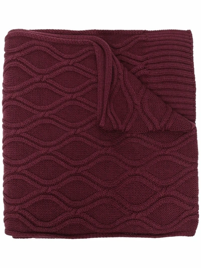 Lardini Honeycomb Knitted Scarf In Bordeaux