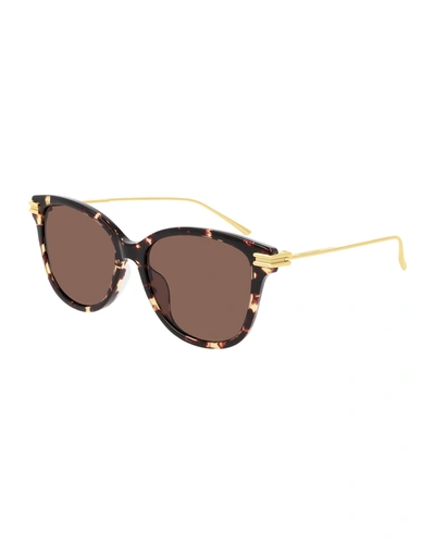 Bottega Veneta Acetate Cat-eye Sunglasses In Havana