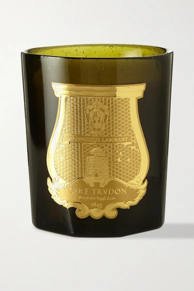 Cire Trudon Ernesto Scented Candle 270g - Leather And Tobacco In Green