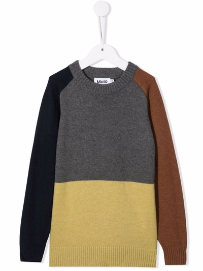 Molo Kids' Pullover Buzz Colour Block In Maglia Di Cotone E Lana In Grey