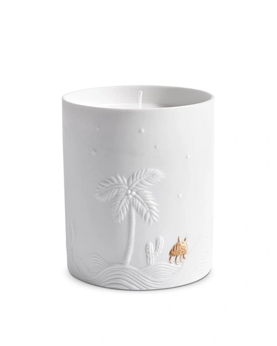 L'objet Haas Mojave Palm Candle