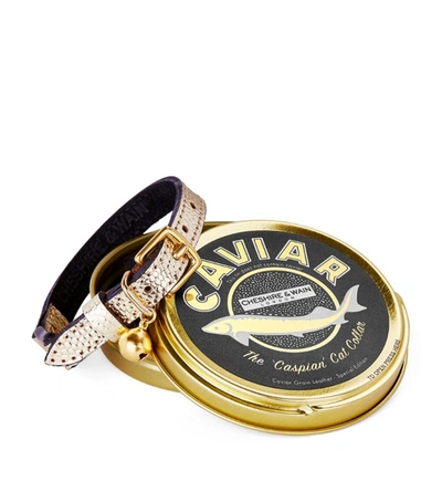 Cheshire & Wain Cw Carviar Cat Collar Gld/blk In Gold