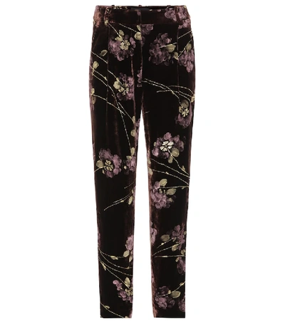 Co Floral-printed Velvet Trousers In Brown