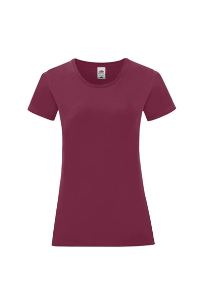 Fruit Of The Loom Womens/ladies Iconic T-shirt (burgundy) In Purple