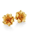 Kenneth Jay Lane Anemone Flower Clip-on Button Earrings In Gold