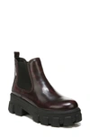 Circus By Sam Edelman Darielle Platform Chelsea Boot In Berry