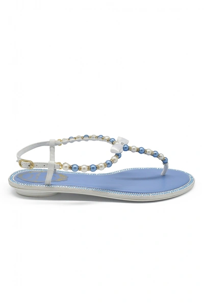 René Caovilla Pearl Sandals In Blue