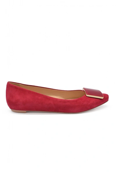 Tod's Suede Ballet Flats In Pink