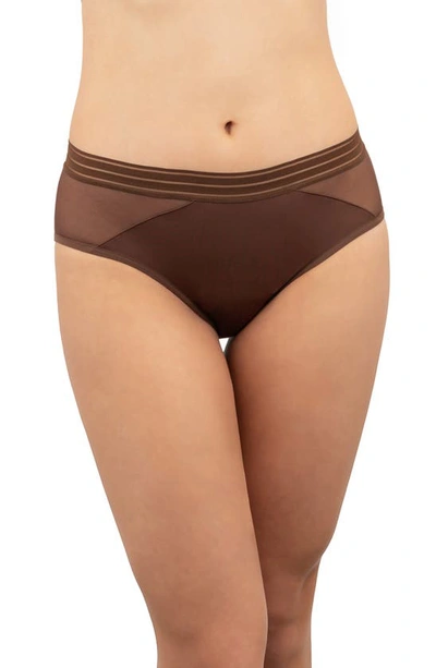 Saalt Period & Leakproof Regular Absorbency Mesh Hipster Panties In Rich Earth