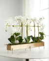 John-richard Collection Rows Of Orchids Faux-floral Arrangement