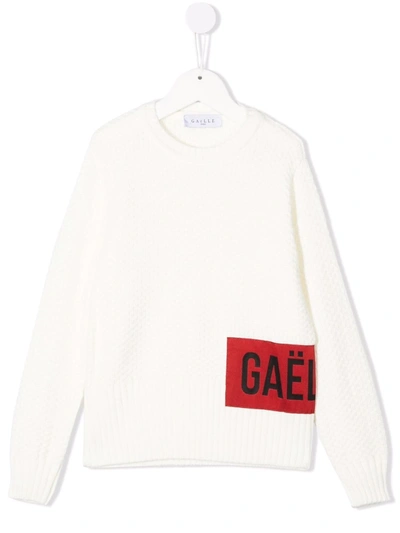 Gaelle Paris Kids' Logo-patch Crewneck Sweatshirt In White