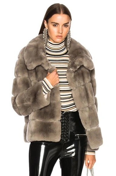 Yves Salomon Rex Fur Jacket In Gray. In Mistral