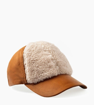 Ugg Curly Pile Leather Baseball Hat In Chestnut | ModeSens