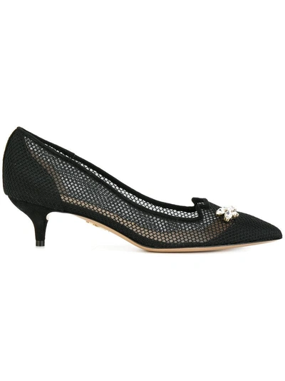 Charlotte Olympia Kitten Suede And Fishnet Courts In Black