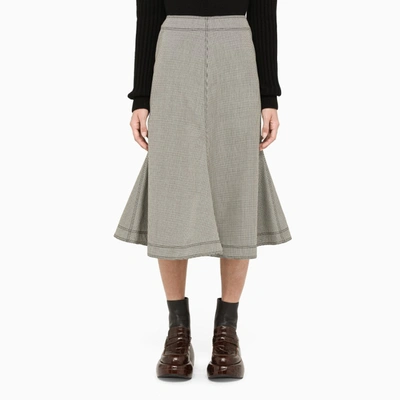 Loewe Black And White Flared Skirt In Multicolor