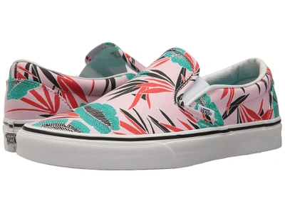 Vans - Classic Slip-ontm ((tropical Leaves) Pink Lady) Skate Shoes |  ModeSens