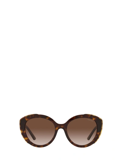 Prada Pr 01ys Acetate Square Sunglasses In Brown