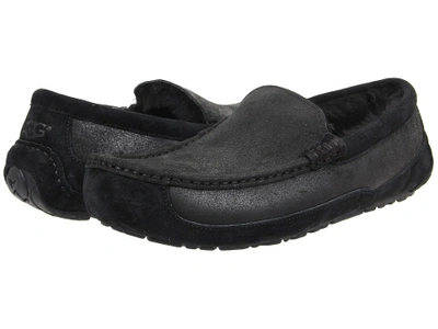 Ugg - Ascot Bomber (bomber Jacket Black Twinface) Men's Slip On