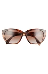 Prada 56mm Gradient Cat Eye Sunglasses In Brown