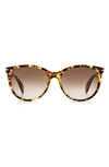 Rag & Bone 54mm Round Cat Eye Sunglasses In Nude/brown