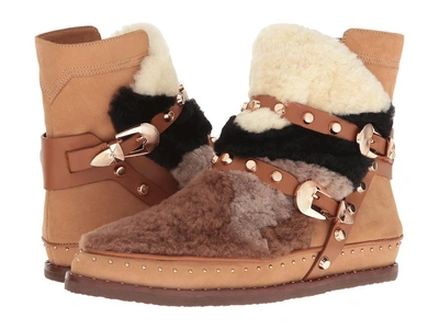 Ivy Kirzhner - Antarctic (camel) Women's Shoes