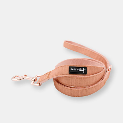 Sassy Woof Leash- Apple Cider In Pink