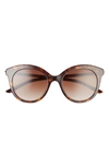 Prada 51mm Round Sunglasses In Tortoise/ Brown Gradient