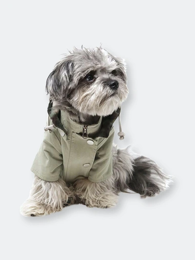 Miamore Dog Raincoat In Green