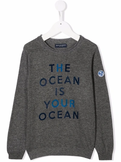 North Sails Kids' The Ocean Is Your Ocean Jumper In Grey