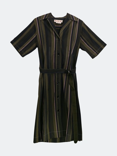 Marni Women's Dark Olive Short Sleeve Striped Poplin Dress In Green