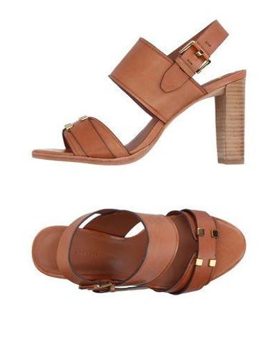 Aerin In Brown