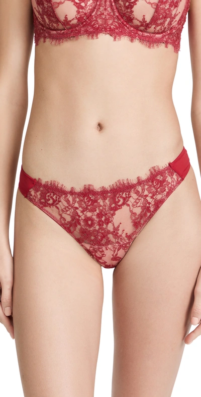 Skarlett Blue Entice Lace Thong In Scarlet/rose Dawn