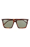 Saint Laurent Women's Square Sunglasses, 56mm In Havana/green