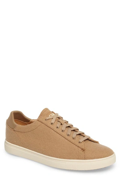 Clae Bradley Sneaker In Cashmere Wool