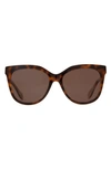 Mohala Eyewear Pikake Universal 55mm Polarized Cat Eye Sunglasses In Amber Tortoise