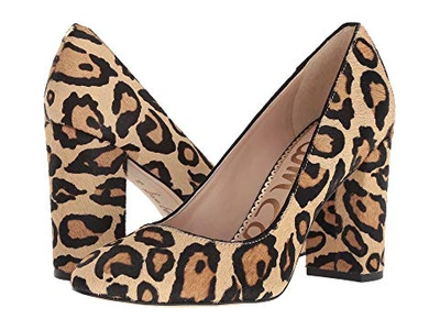 Sam Edelman Stillson Pump In Leopard Print Calf Hair