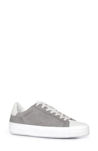 Allsaints Safia Sneaker In Grey