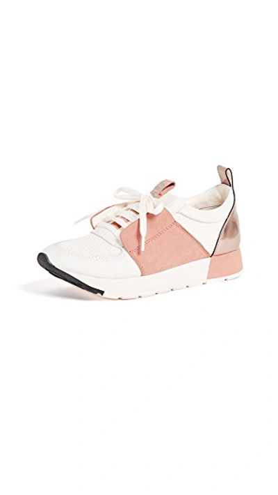 Dolce Vita Yana Colorblock Sneakers In White/nude